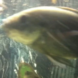 2012-08-11 22.56.07-1.webp