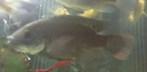 2012-08-11 22.55.53-1.webp