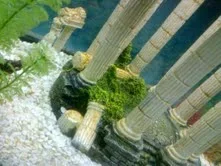 tank2.webp