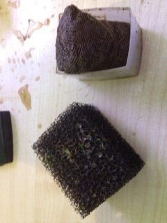 photo 1.JPG photo 1.JPG