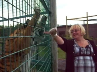 me feeding tiger.webp