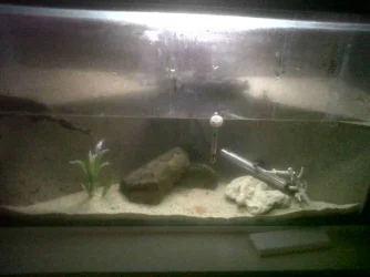 IMG00165-20120827-1632.webp