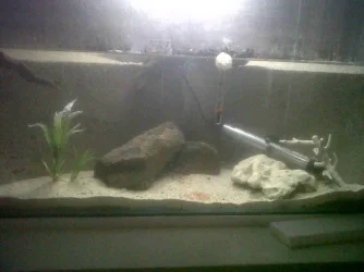 IMG00166-20120827-1632.webp