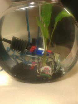 IMAG0367.jpg IMAG0367.jpg