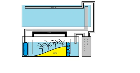 refugium idea.webp