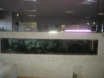 032.webp