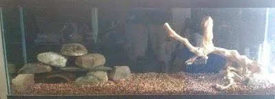 IMAG0900.webp