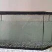 My Tank.webp