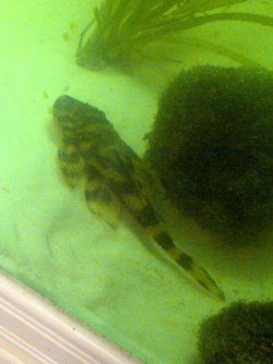 IMG-20120927-01053.jpg