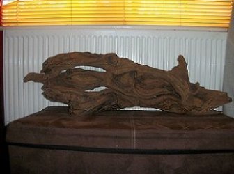 Bogwood 1.2.0..jpg Bogwood 1.2.0..jpg