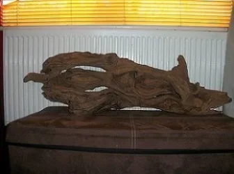 Bogwood 1.2.0..webp