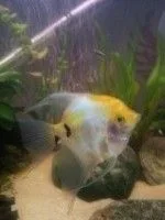 20121004_182450.webp