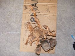 phpmQbzckPM.jpg phpmQbzckPM.jpg