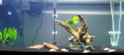 2012-10-17 00.05.22-1.jpg