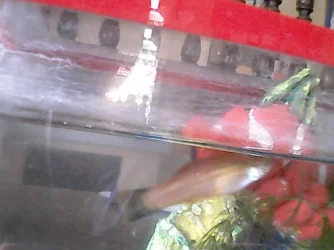 Image.webp