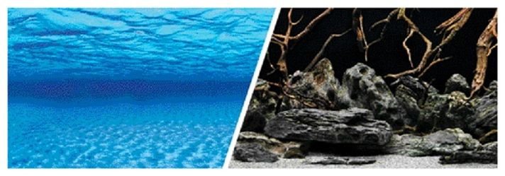 background.jpg background.jpg