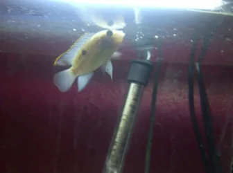IMG-20121106-00143.webp
