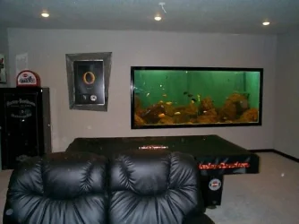 fishtankopic small.webp