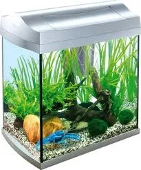 Aquarium.webp