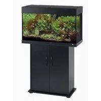 Cabinet.webp