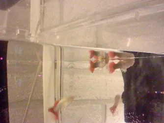 HNI_0078_MPO.webp