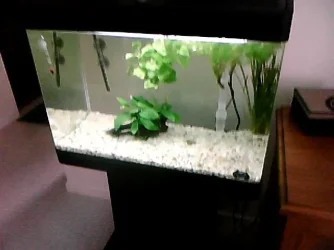 Picture0126.webp