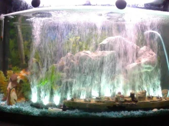 Snapshot_20121230_3.webp
