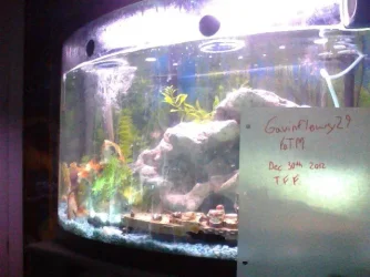 Snapshot_20121230_5.webp