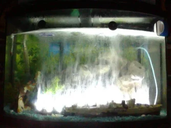 Snapshot_20121230_7.webp