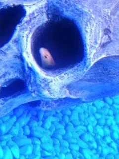 photo-1.webp