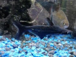 IMG_20130121_230124.jpg