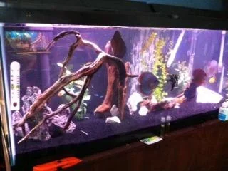 photo-4.webp photo-4.webp