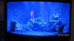 IMG_0602.JPG