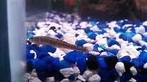 IMG_20130126_125653_003.webp