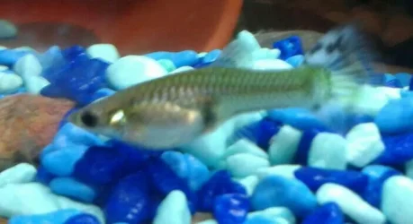 2013-03-10 17.22.49-1.webp