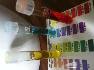 image.webp
