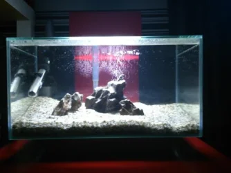 FISH TANK GRRRR.webp
