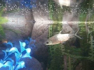 2013-03-28 17.44.18.webp