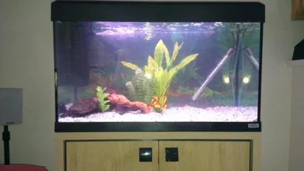 tank_new.webp tank_new.webp