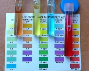 Water Samples.webp Water Samples.webp