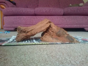 Bogwood 2.webp