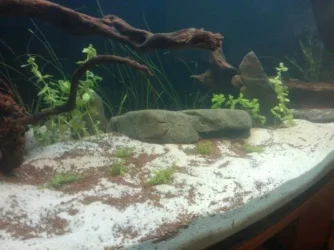 WP_000523.webp