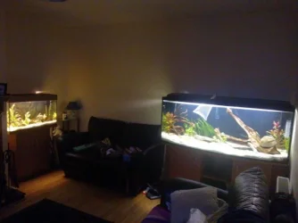 WP_000534.webp
