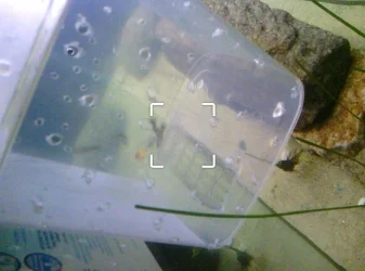 Screenshot_2013-04-14-22-57-26-1.webp