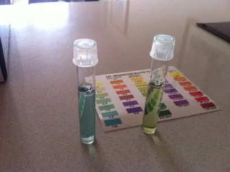 test-tubes.webp