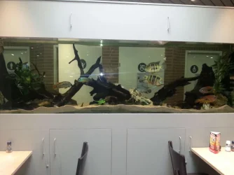 20130409_164058.webp