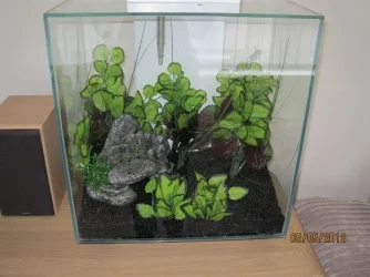 tank small.webp