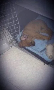 sleeping beauty a.webp