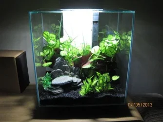 tank white light.webp