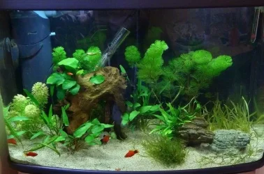 Tank08May.webp